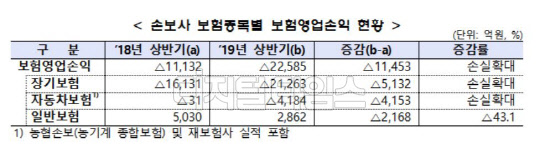 손해보험사의 보험종목별 보험영업손익 현황. 금융감독원 제공.